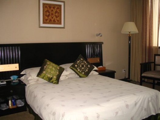 Ханчжоу: Xinyu City Hotel Downtown