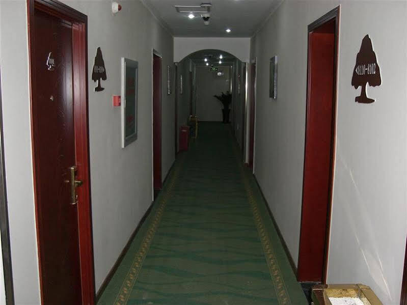 Пекин: Greentree Inn Beijing Capital Airport