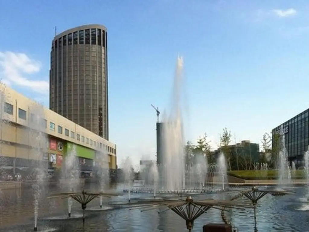 Royal Palace Hotel Haining — фото 1