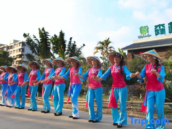 Lanyang: Forest Inn (Hainan University, Zhangzhou Botanical Garden Thermoscience Academy)