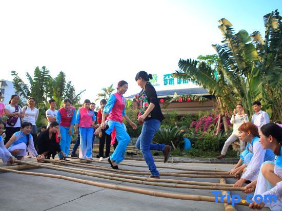 Lanyang: Forest Inn (Hainan University, Zhangzhou Botanical Garden Thermoscience Academy)