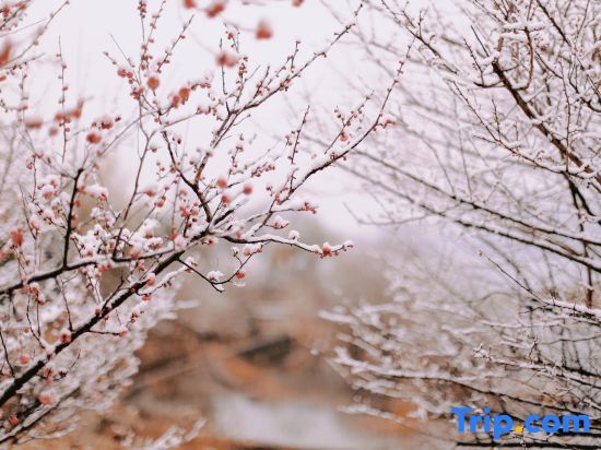 Ханчжоу: Qiandao Lake Wenyuan Lion City Vipusea Hotel