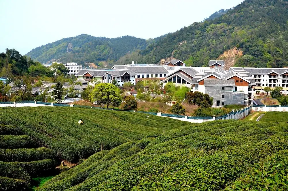 Нинбо: Yangming Springs and Spa Resort