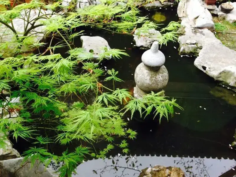 Цзиньцзэ: Tongli Zhengfu Caotang Hotel