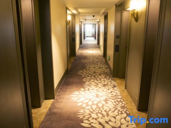 Вэньчжоу: Radow Hotel (Cangnan Longxiang)