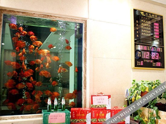 Пекин: Tianlong Hotel