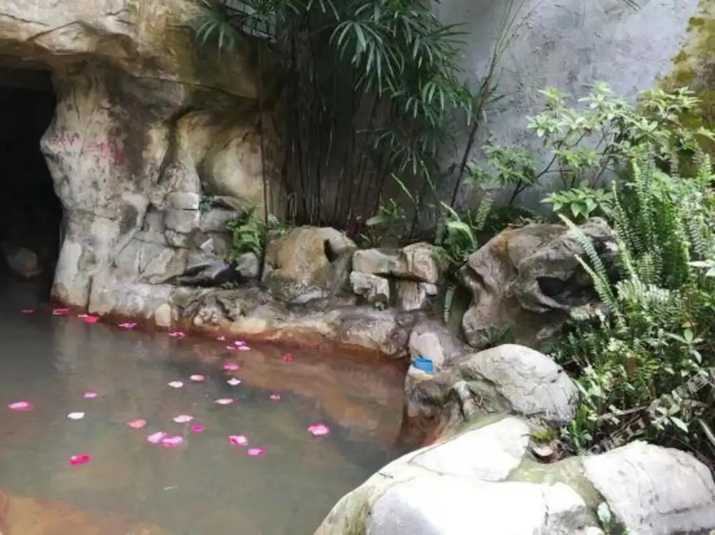 Чунцин: Chongqing White-collars East Hotspring Hotel