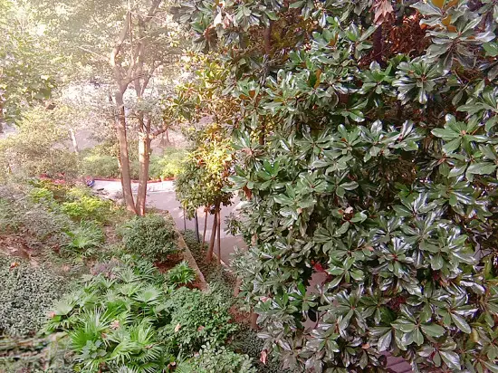 Чунцин: Chenyi Hotel Chongqing Chuanwai