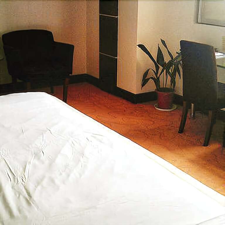 Бенгбу: New Century Hotel