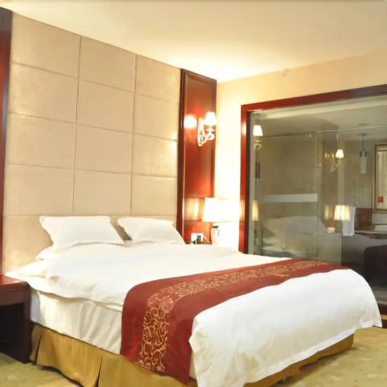 Чэнду: Tian Fu Hotel (Chengdu Wenshuyuan Longhu Tianjie Branch)