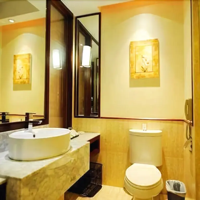 Дунгуань: Baoli Hotel