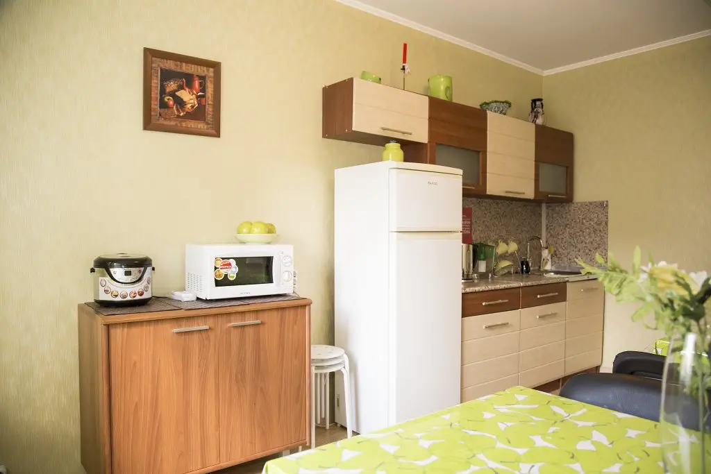 Москва: Green Hostel Kuzminki