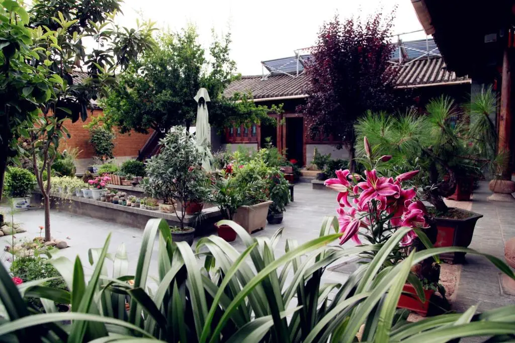 Дали: Dali Shaxi Gumo Hostel