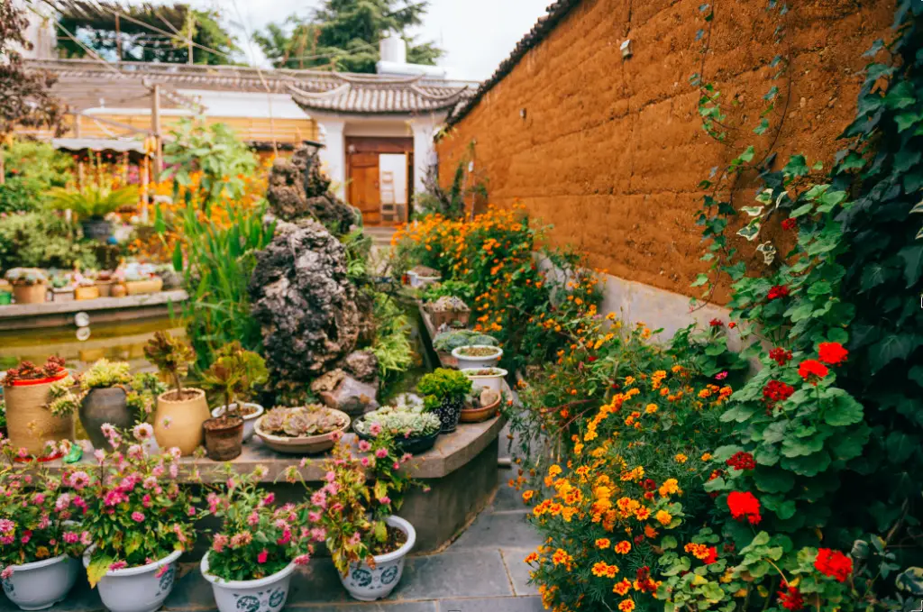 Дали: Dali Shaxi Gumo Hostel