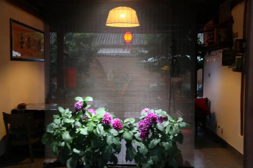 Дали: Dali Shaxi Gumo Hostel