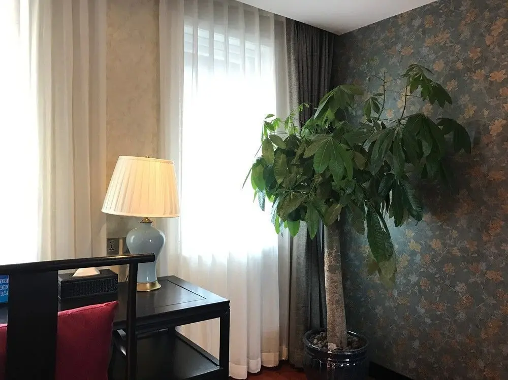 Пекин: True Go Hotel