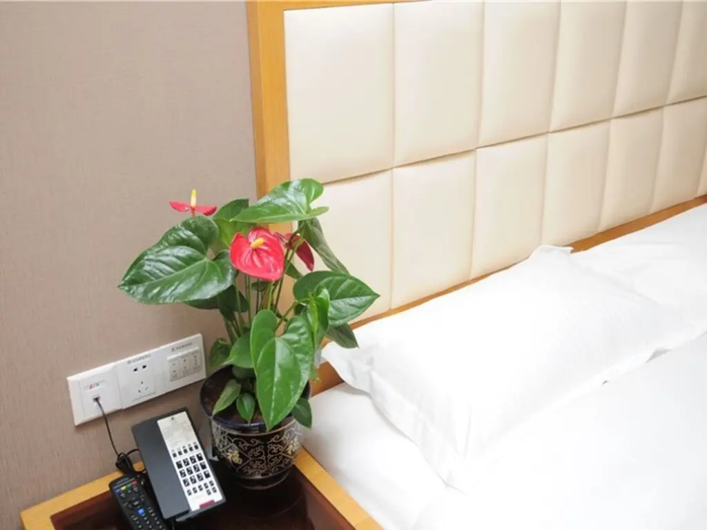 Тайан: GreenTree Inn Shandong Taian Feicheng Xincheng Road Business Hotel