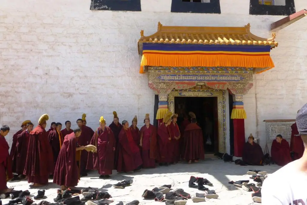 Overseas Tibetan Hotel — фото 1