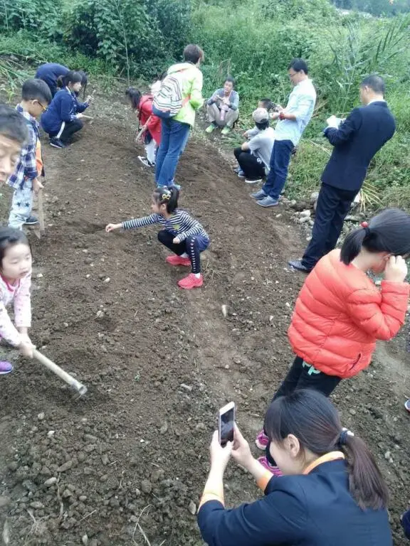 Чэнду: Howard Johnson Life Mountain View Chengdu