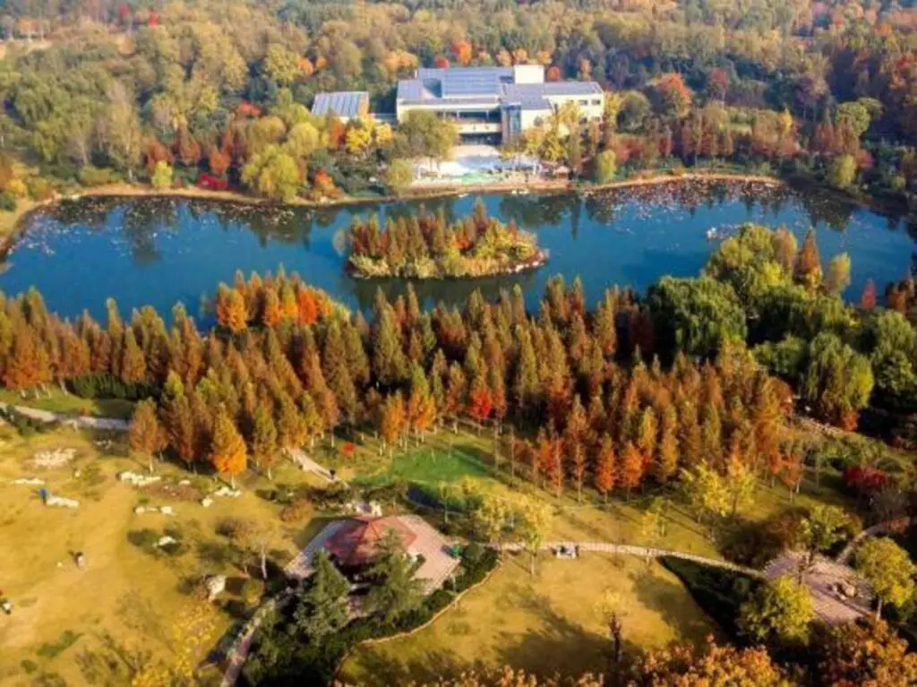 Цзинань: Grace Inn Hotel (Jinan Zhangzhuang Road Shandong International Convention and Exhibition Center)