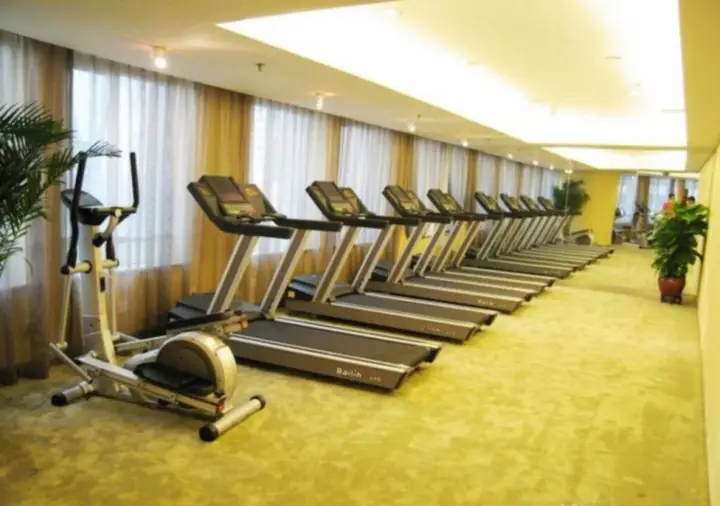 Шэньчжэнь: Conifer International Hotel