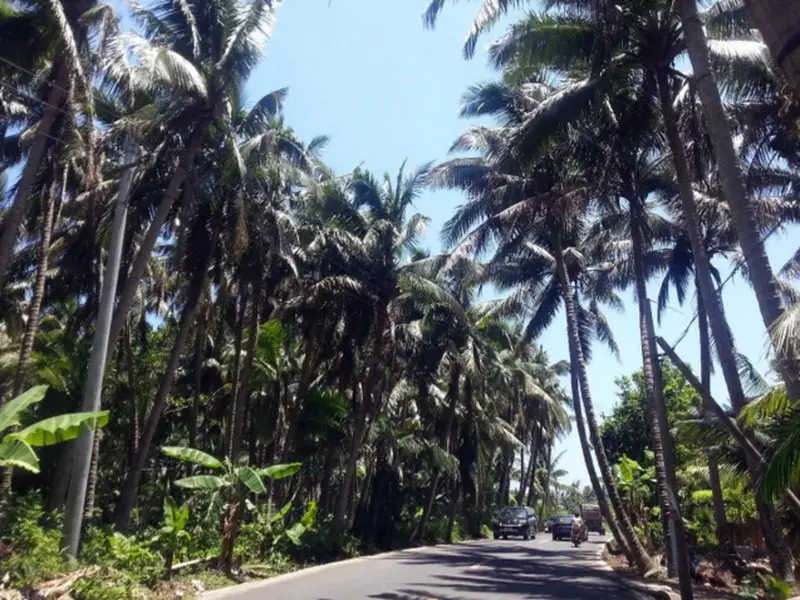 Вэнчен: Wenchang Coconut Grove Herton Seaview Hotel