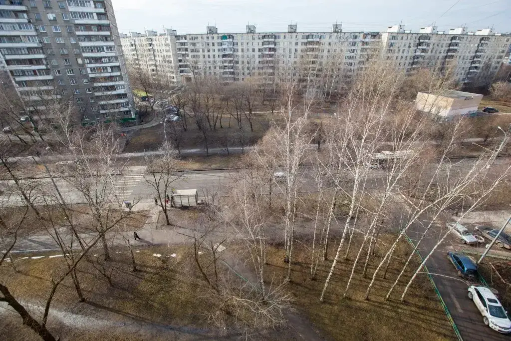 Domumetro Novokosino — фото 1