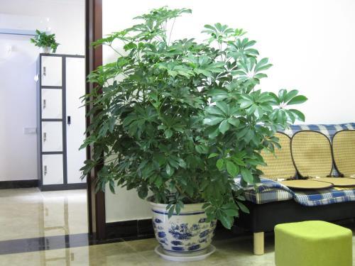 Чжэнчжоу: Zhengzhou Future Time Youth Hostel