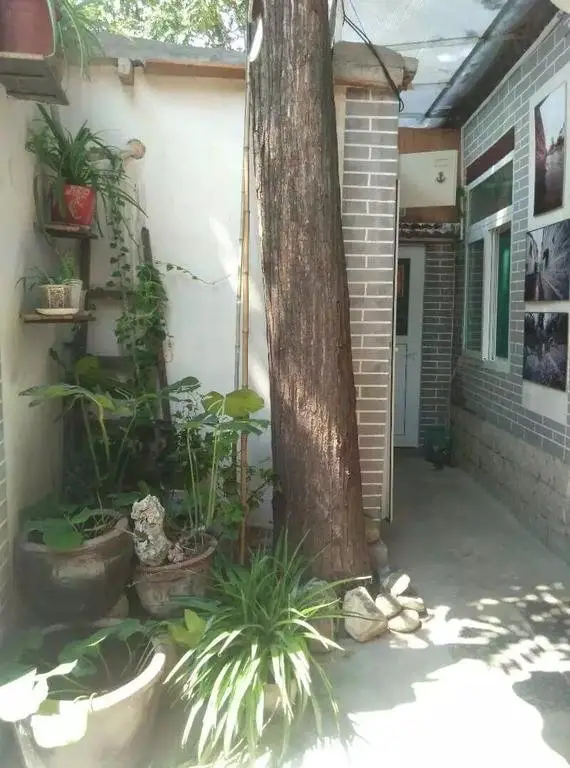 Цзинань: Ji nan International Youth Hostel