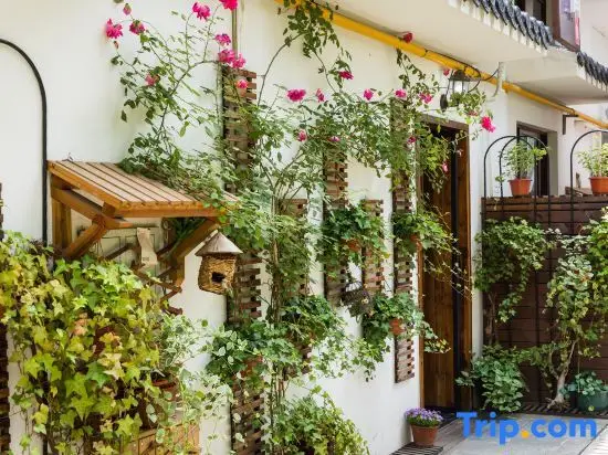 Ханчжоу: Huage Hostel