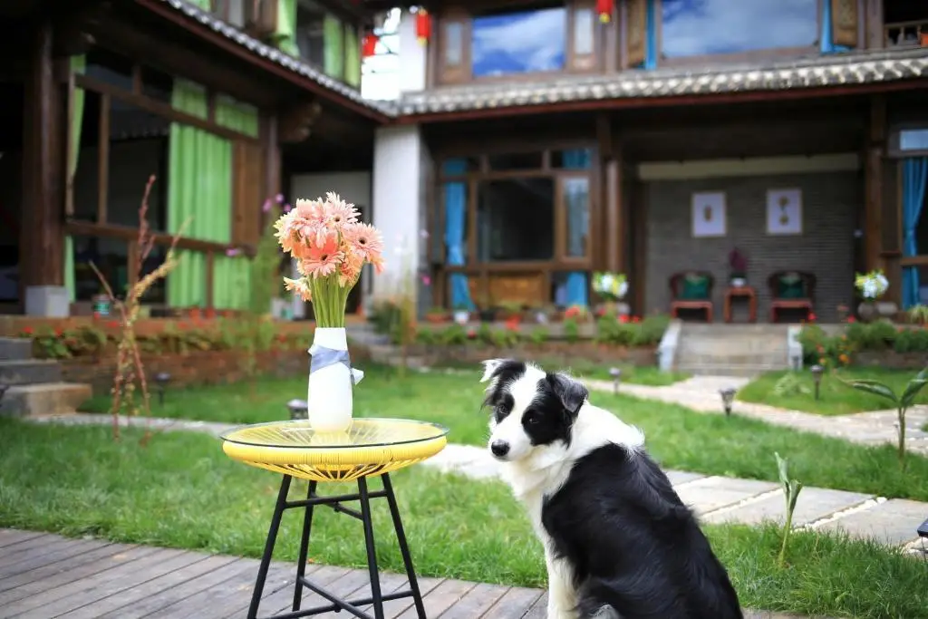 LiJiang LanYuan Boutique Guesthouse — фото 1