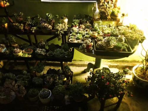Цюаньчжоу: Vanilla Garden Hostel