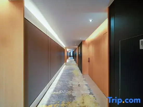 Чунцин: Viais Hotel