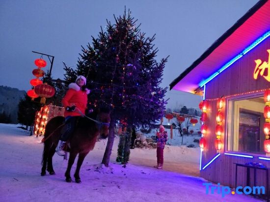 Харбин: Frozen Inn