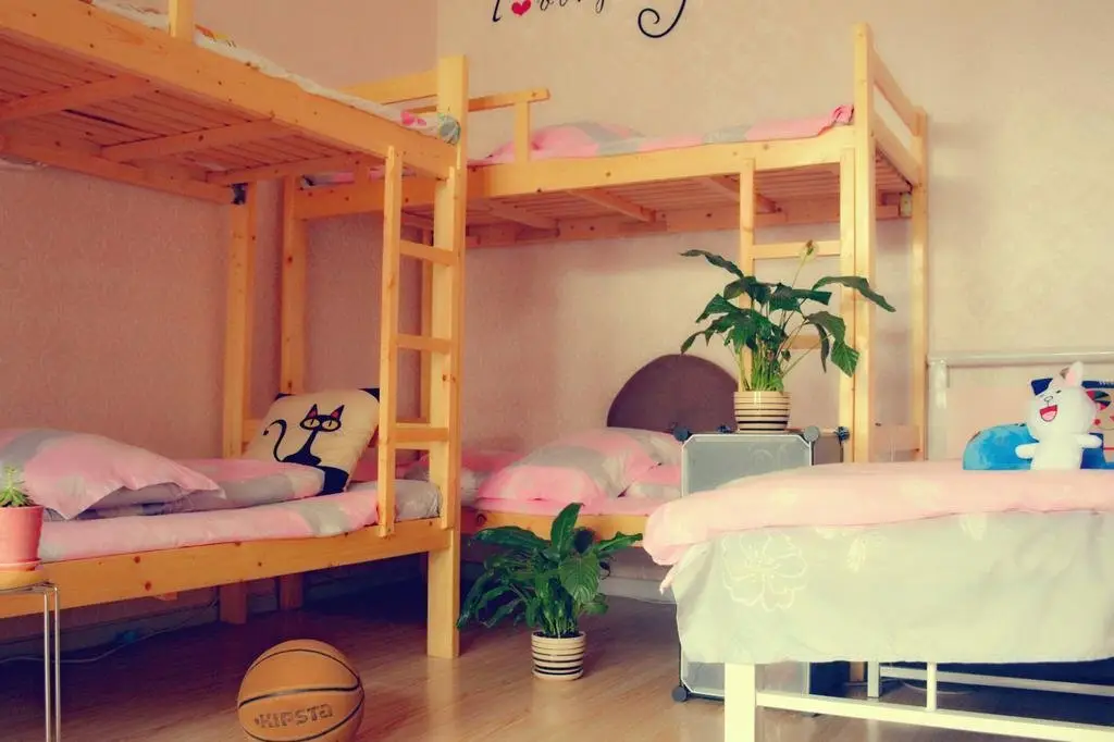Яньтай: Oak Tree Youth Hostel