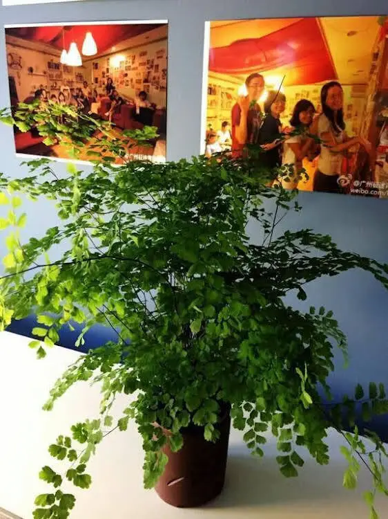 Гуанчжоу: Journey House Youth Hostel
