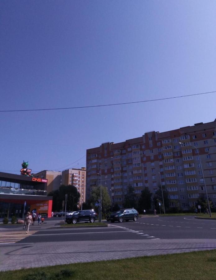 Калининград: Уютные апартаменты на Сельме