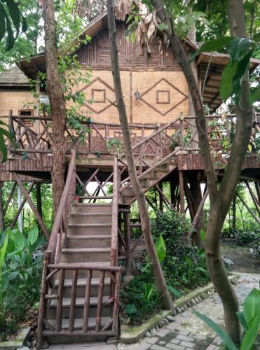 Чэнду: Xinsheng Inn