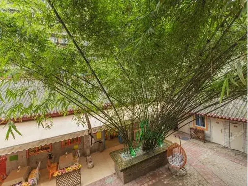Чэнду: Chengdu Lifes Colour Inn