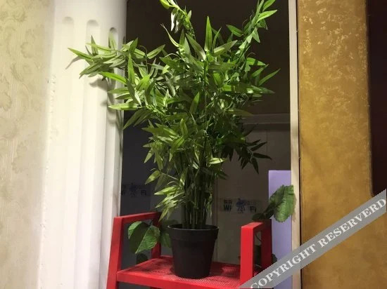 Чунцин: Yuquan Capsule Hostel