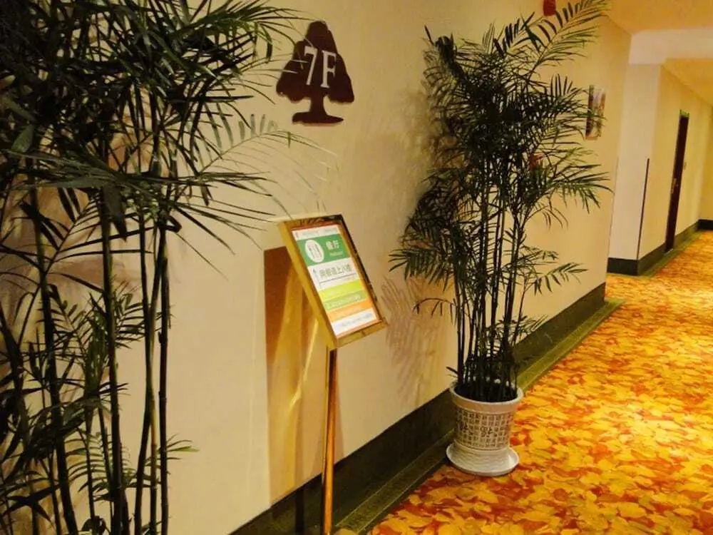GreenTree Inn Bozhou Guoyang Shengli Road Fuyang Commercial Building Express Hotel — фото 1