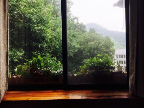 Хучжоу: WoLiXiang-Lan Garden