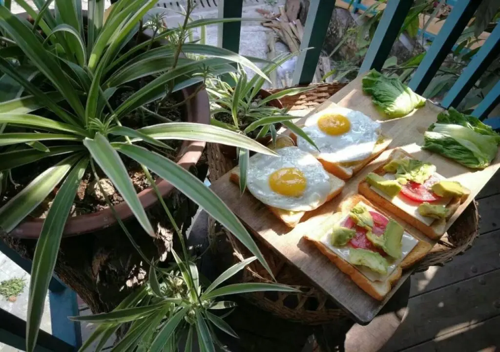 Цзинхун: Wanderlust Hostel