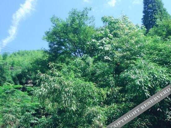 Хучжоу: Chong'er Zhujia Hotel