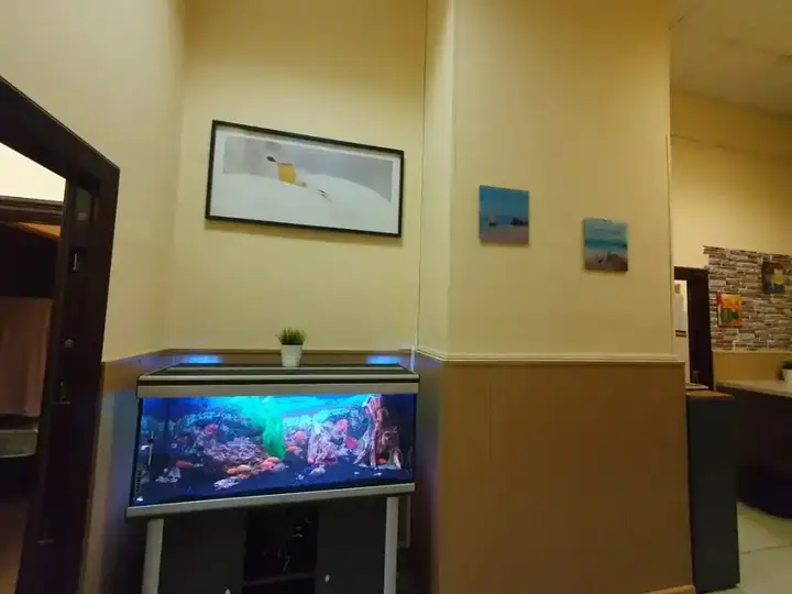 Москва: Хостел Ideal home