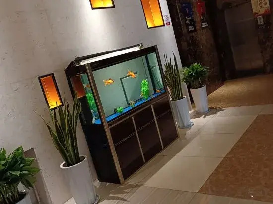 Пиндиншань: Weiou Hotel (Pingdingshan Zhongxing Road)