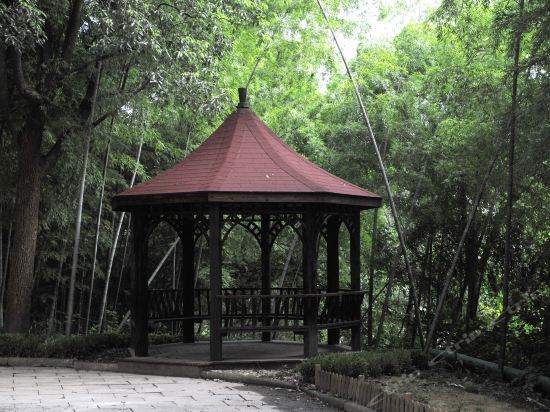 上海佘山森林宾馆 — фото 1