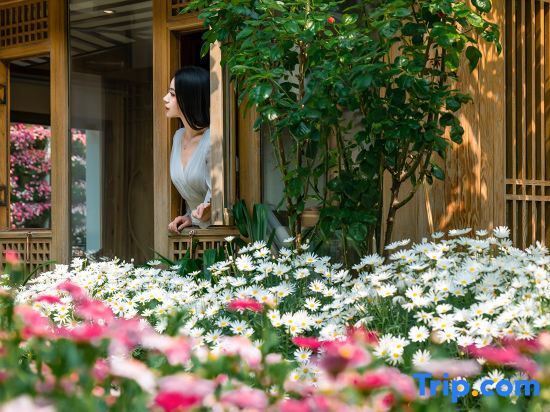 Лицзян: Ting Hua • Snow Mountain View Resort (Lijiang Ancient Town Branch)