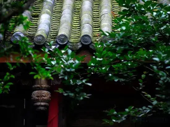 Чэнду: Qingcheng Houshan Landscape Heyuan Homestay