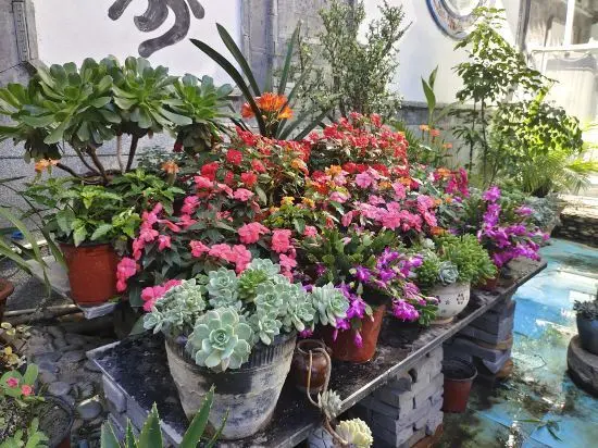 Дали: Yunnan Heart · Yoran Bookyard Realm Boutique Stay (Dali Erhai Cai Village)